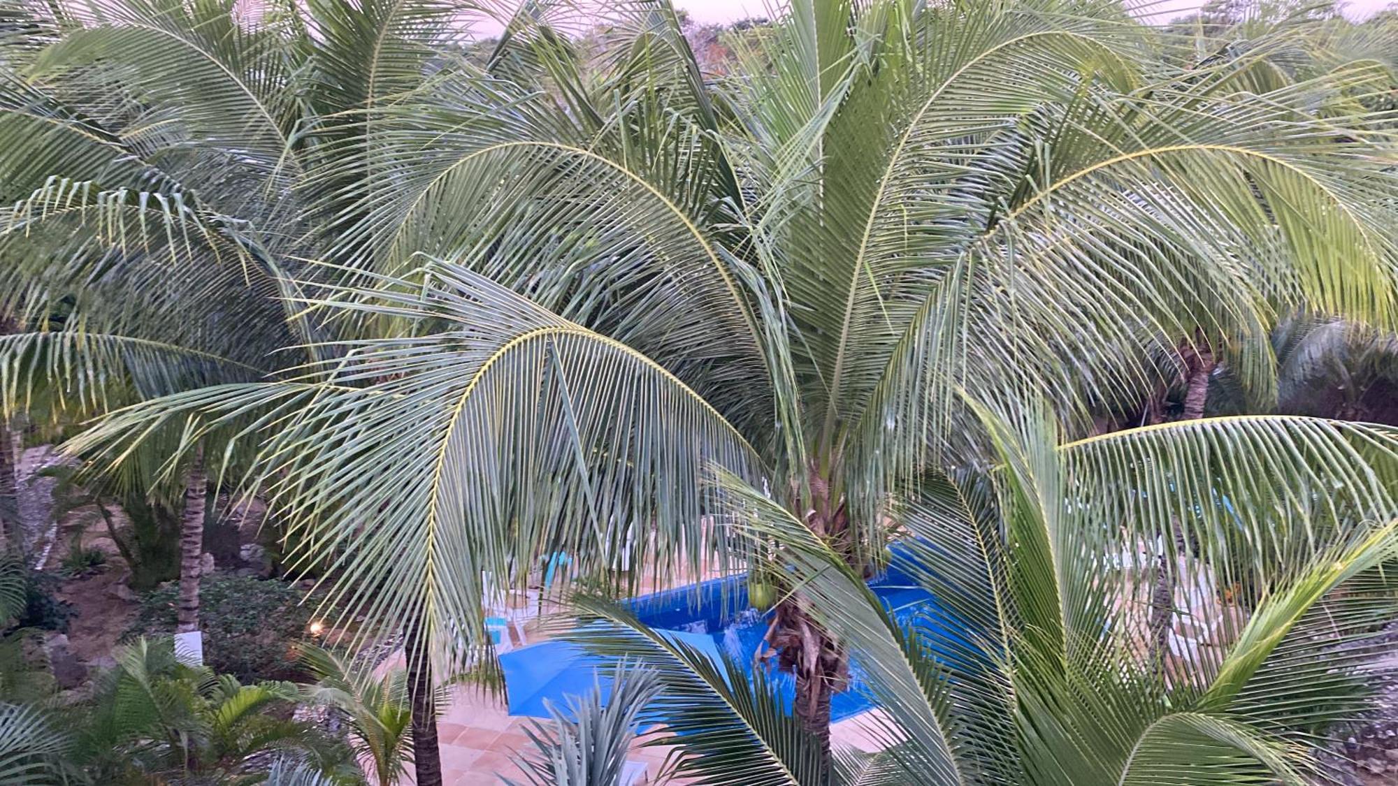 Villa Tortugas Акумаль Экстерьер фото