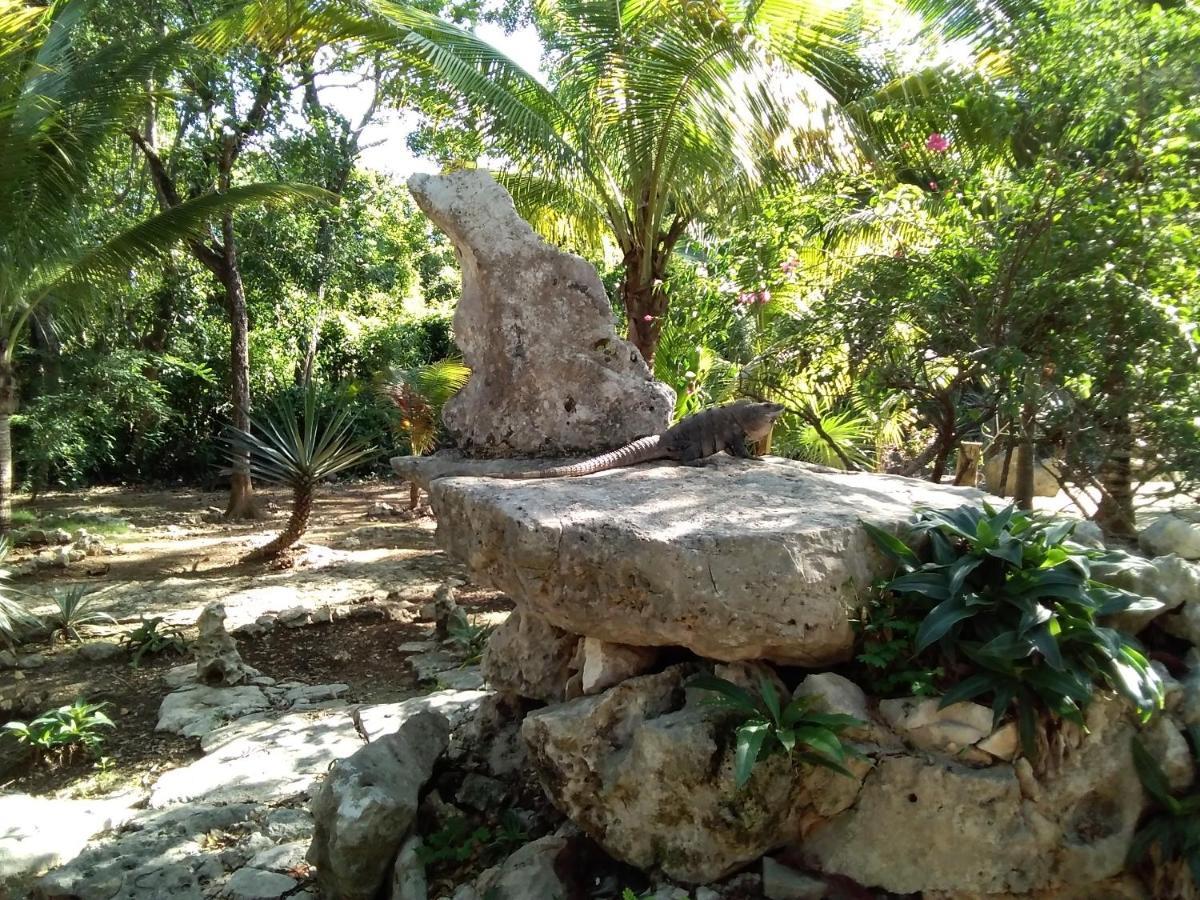 Villa Tortugas Акумаль Экстерьер фото